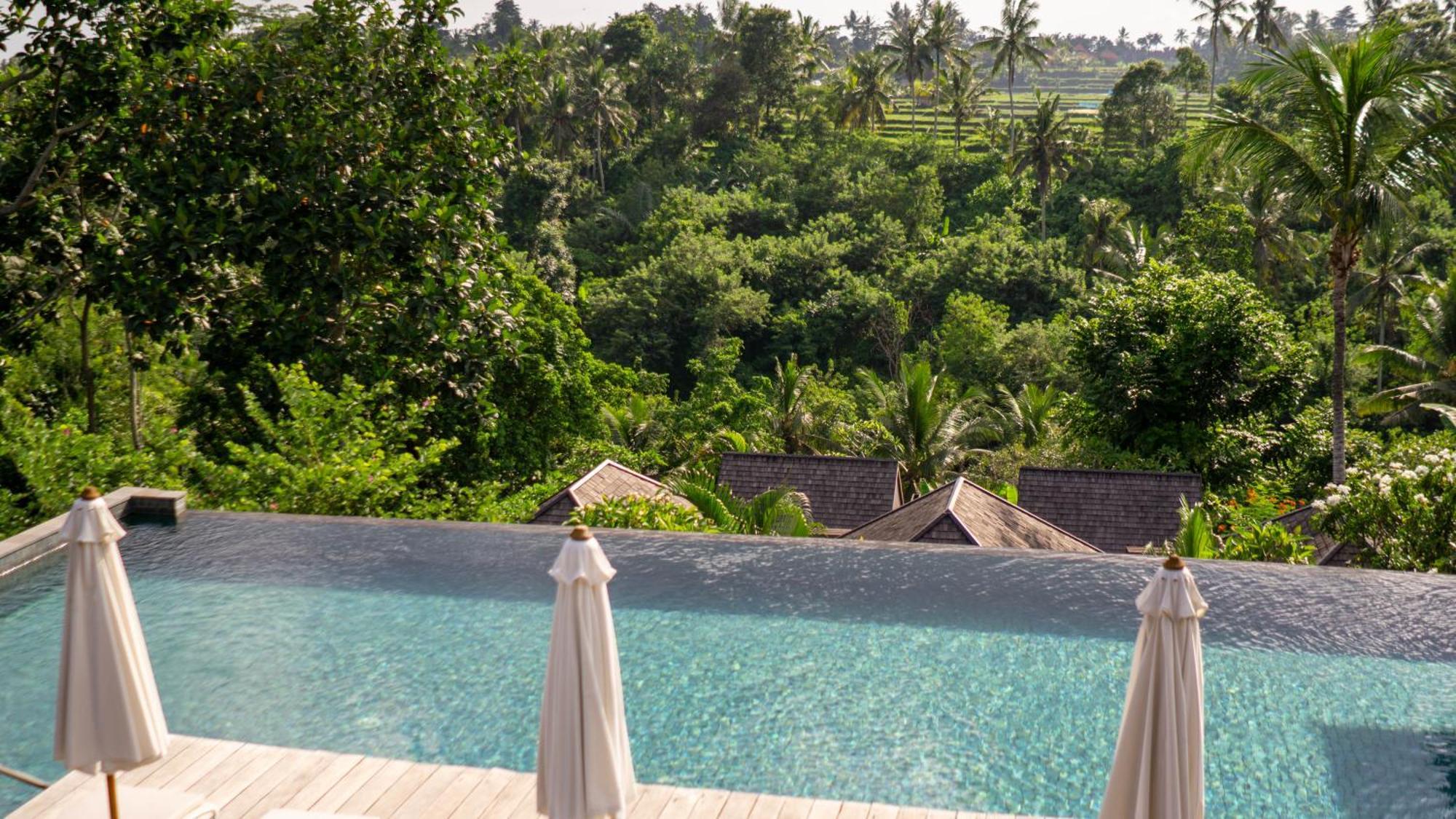 Tejaprana Bisma - Chse Certified Hotell Ubud Eksteriør bilde View from the pool